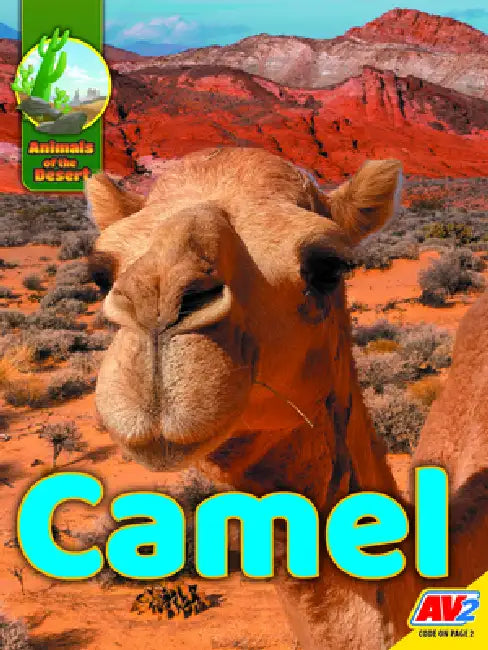 Camel by Karen Durrie