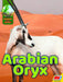 Arabian Oryx by Aaron Carr