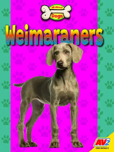 Weimaraners by Heather Kissock