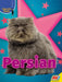Persian by Sierra Wilson