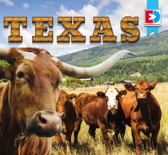 Texas by Maria Koran