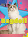 Ragdoll by Sierra Wilson