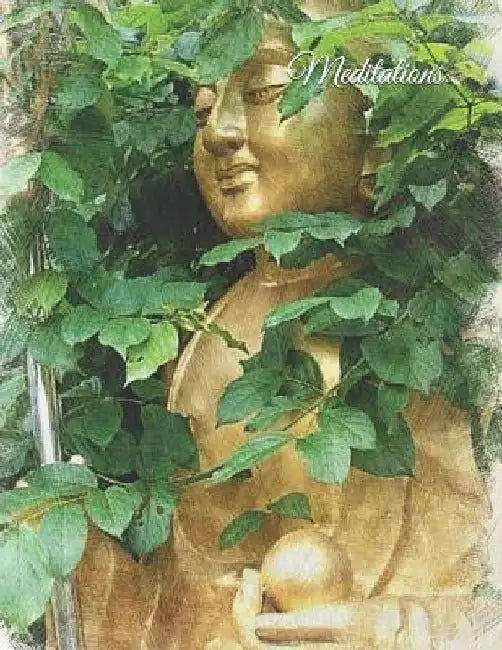 Meditations by C. Wright