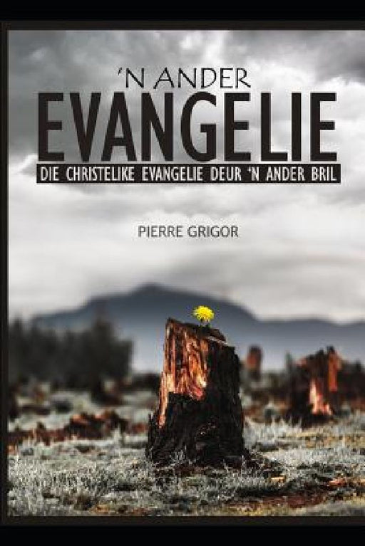 'n Ander Evangelie: Die Christelike Evangelie Deur 'n Ander Bril by Sandra Grigor