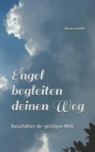 Engel begleiten deinen Weg: Botschaften der geistigen Welt by Sandri, Silvana