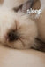 Sleep Diary Sleepy Siamese Kitten by Golding Notebooks