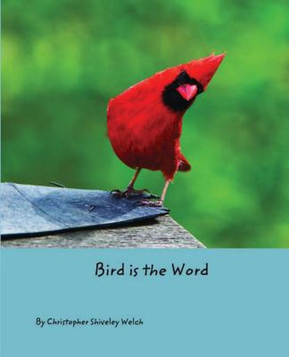Bird is the Word by Christopher Shiveley Welch