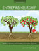 Entrepreneurship: Starting, Growing and Maintaining Innovative Ventures by Ann Jones