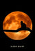 Sleep Diary Full Moon Cat by Golding Notebooks