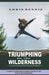 Triumphing in the Wilderness: A Guide to Overcoming Stumbling Blocks at the Edge of Breakthroughs by Chris Dennis