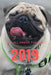 It;s All about the Pug: Pug Life by Puggy Pug Life