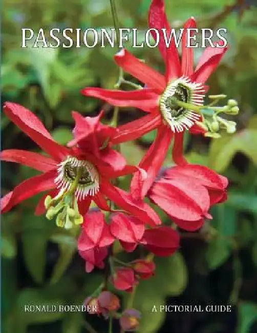 Passionflowers: A Pictorial Guide by John Macdougal