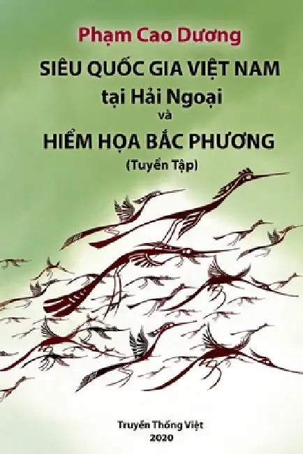 Sieu Quoc Gia Viet Nam by Duong Cao Pham