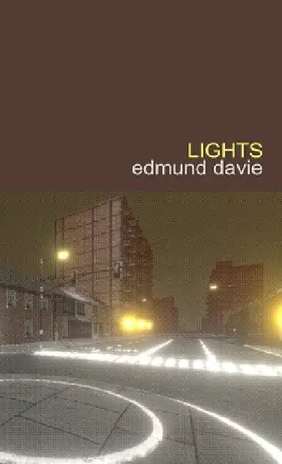 Lights: A Novel With an Index by Edmund Davie