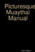 Picturesque Muaythai Manual by Paul Metayo