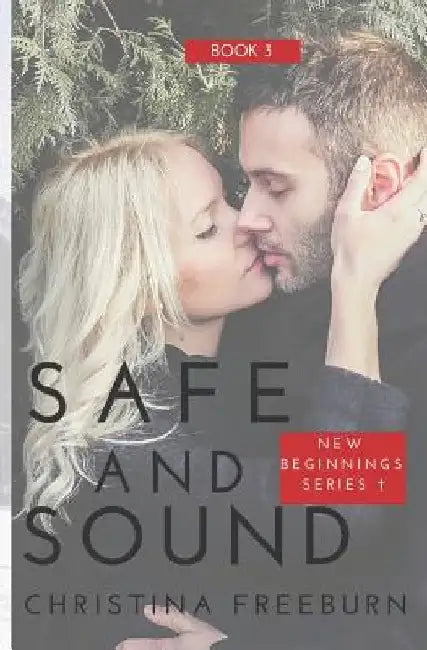 Safe and Sound: Inspirational Romantic Suspense by Christina Freeburn