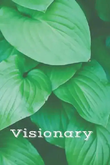 Visionary by Weird Journals