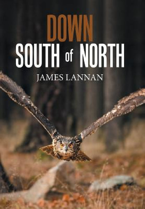 Down South of North by James Lannan
