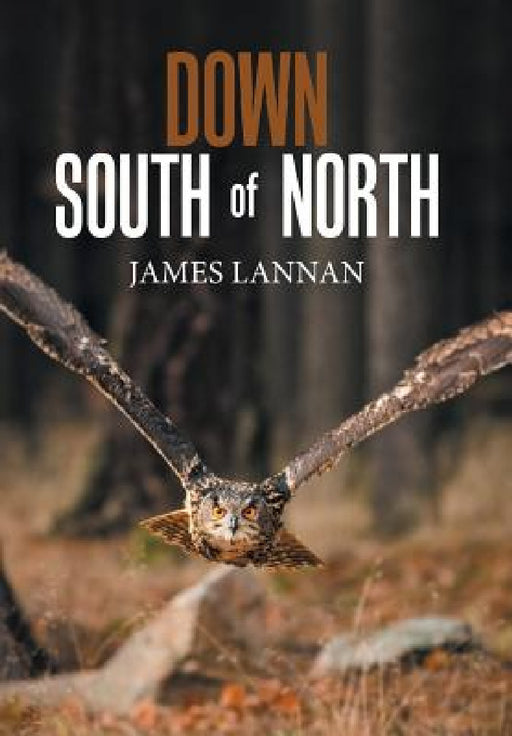 Down South of North by James Lannan