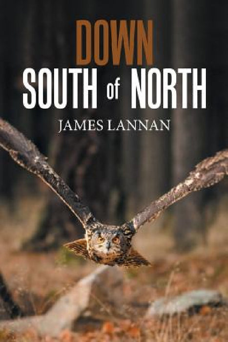 Down South of North by James Lannan