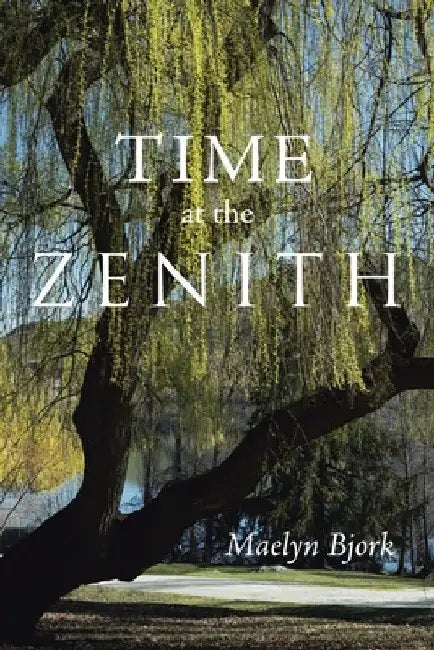 Time at the Zenith by Maelyn Bjork