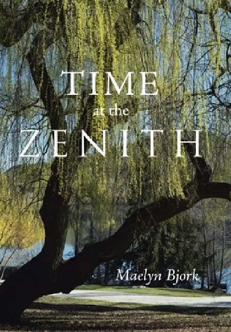 Time at the Zenith by Maelyn Bjork
