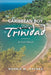 Caribbean Boy from Trinidad: In God's Hands by Norris M. Haynes