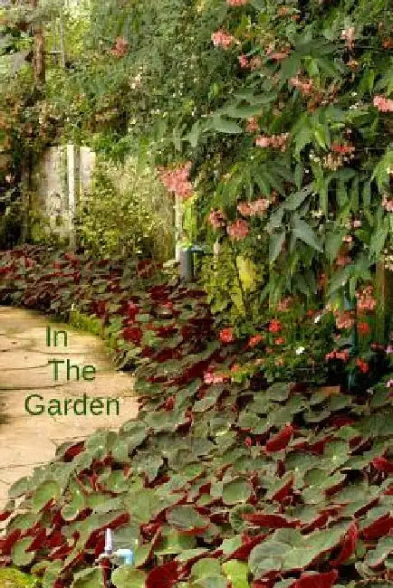 In the Garden by J. Schaul
