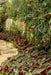 In the Garden by J. Schaul