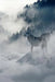 Wolves in the Fog: Wolves Hunt Together for Their Preferred Prey, Large Animals Such as Deer, Elk, and Moose. When They Are Successful, W by Planners and Journals