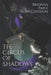 The Circus of Shadows: A Reverse Harem Dark Fantasy by Brionna Paige McClendon