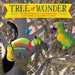 Tree of Wonder: The Many Marvelous Lives of a Rainforest Tree by Kate Messner