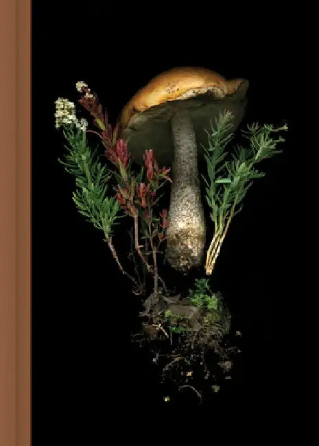 Deep Dark Forest Mushroom Journal by Julya Hajnoczky