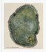 Woodcut: (Updated Edition) by Bryan Nash Gill
