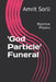'god Particle' Funeral: Bijective Physics by Amrit Sorli