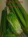 Green Vegetable Salad Recipes: Every page has space for notes, Asparagus, Avocado, Bean, Broccoli, Cabbage, Cucumber, Cauliflower, Cucumber, and more by Christina Peterson