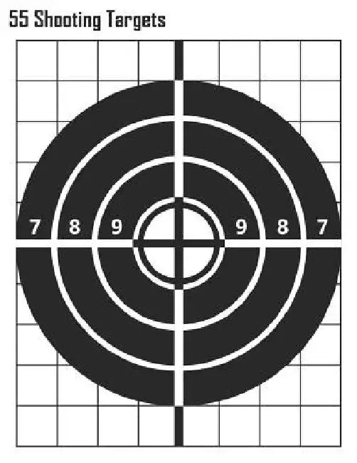 55 Shooting Targets: Bullseye 2 Shooting Targets by Special Targets