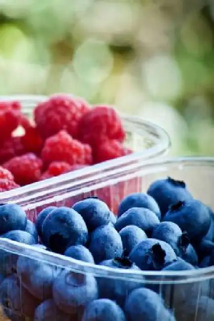 Berries: Berries Are Typically Juicy, Rounded, Brightly Colored, Sweet or Sour, and Do Not Have a Stone or Pit, Although Many P by Planners and Journals