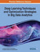 Deep Learning Techniques and Optimization Strategies in Big Data Analytics by J. Joshua Thomas