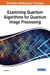 Examining Quantum Algorithms for Quantum Image Processing by Haisheng Li