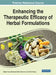 Enhancing the Therapeutic Efficacy of Herbal Formulations by Rajesh Kumar Kesharwani