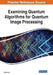 Examining Quantum Algorithms for Quantum Image Processing by Haisheng Li