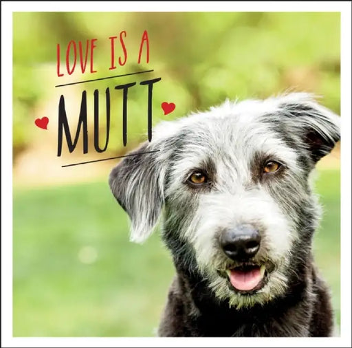 Love Is a Mutt: A Dog-Tastic Celebration of the World's Cutest Mixed and Cross Breeds by Charlie Ellis