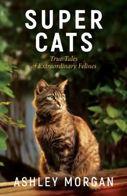 Super Cats: True Tales of Extraodinary Felines by Ashley Morgan