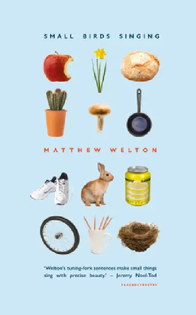 Small Birds Singing by Matthew Welton