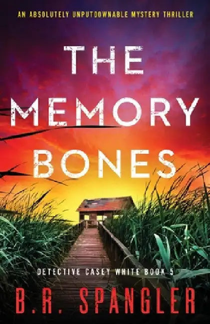 The Memory Bones: An absolutely unputdownable mystery thriller by B. R. Spangler