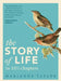 The Story of Life in 10½ Chapters by Marianne Taylor