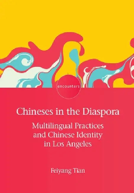 Chineses in the Diaspora: Multilingual Practices and Chinese Identity in Los Angeles by Feiyang Tian
