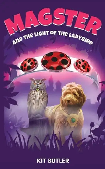 Magster and the Light of the Ladybird by Kit Butler