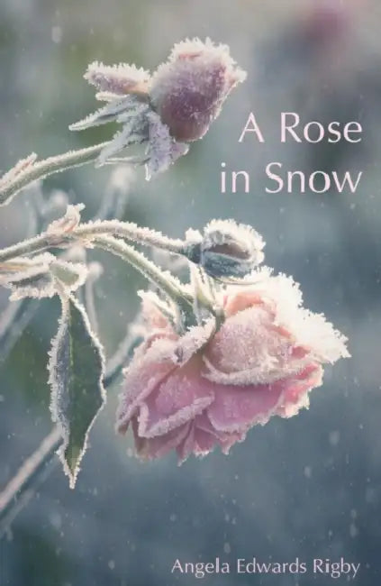 A Rose in Snow by Michael (University of Wisconsin Oshkosh, USA) Baltutis